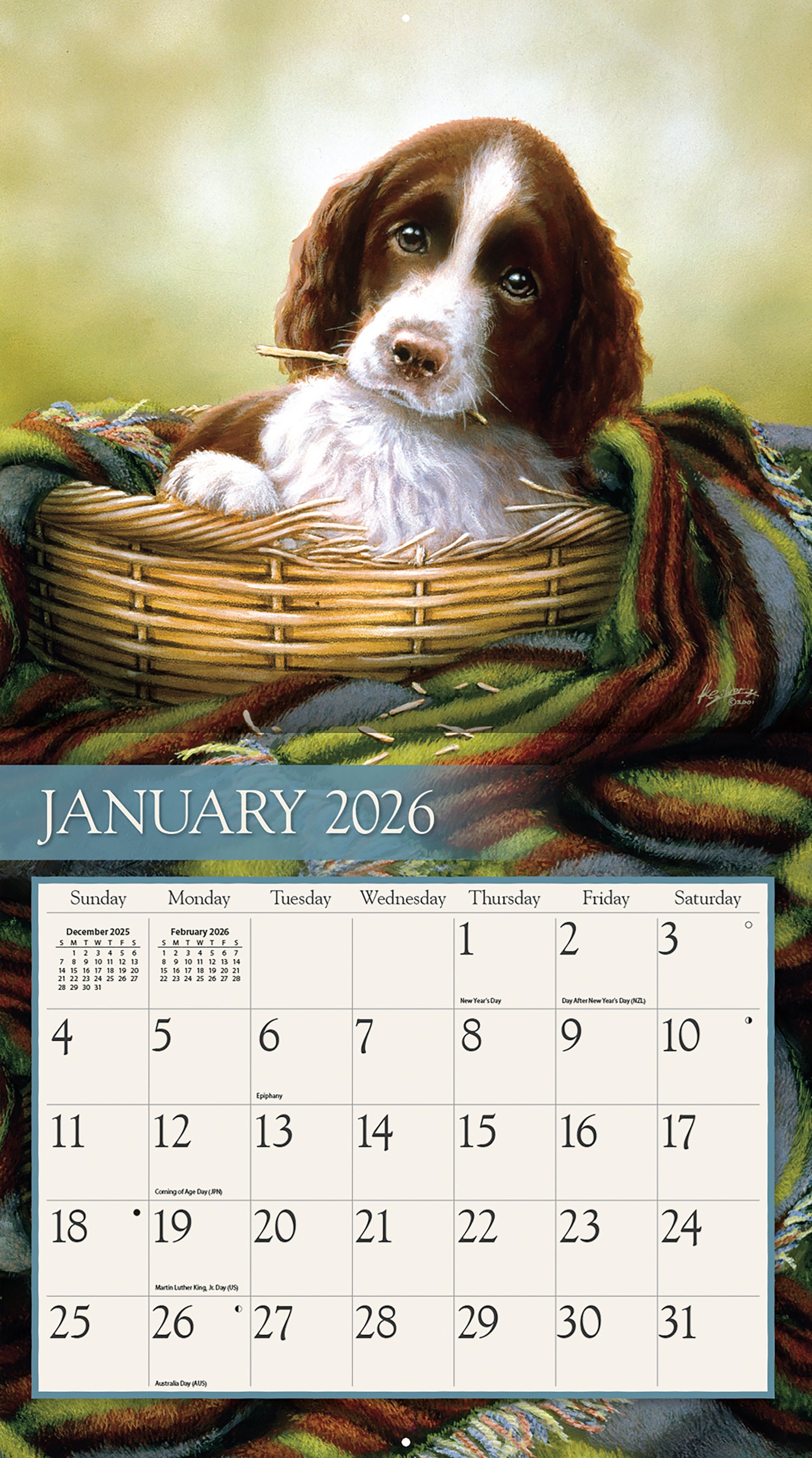 Love of Dogs 2026 Wall Calendar