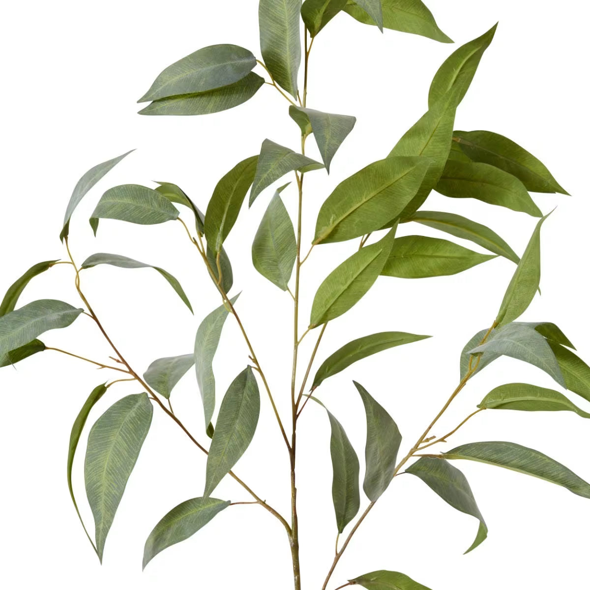 Eucalyptus Spray | Grey/Green