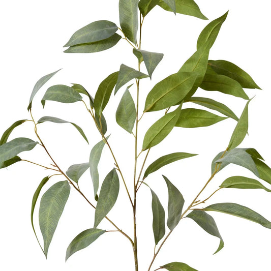 Eucalyptus Spray | Grey/Green