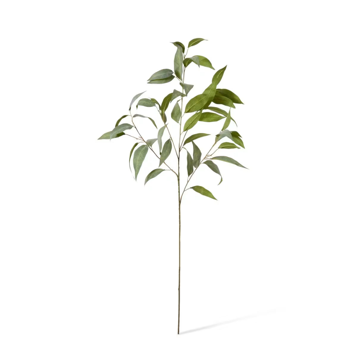 Eucalyptus Spray | Grey/Green
