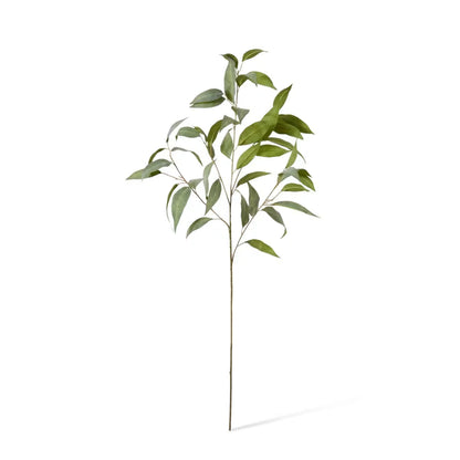 Eucalyptus Spray | Grey/Green