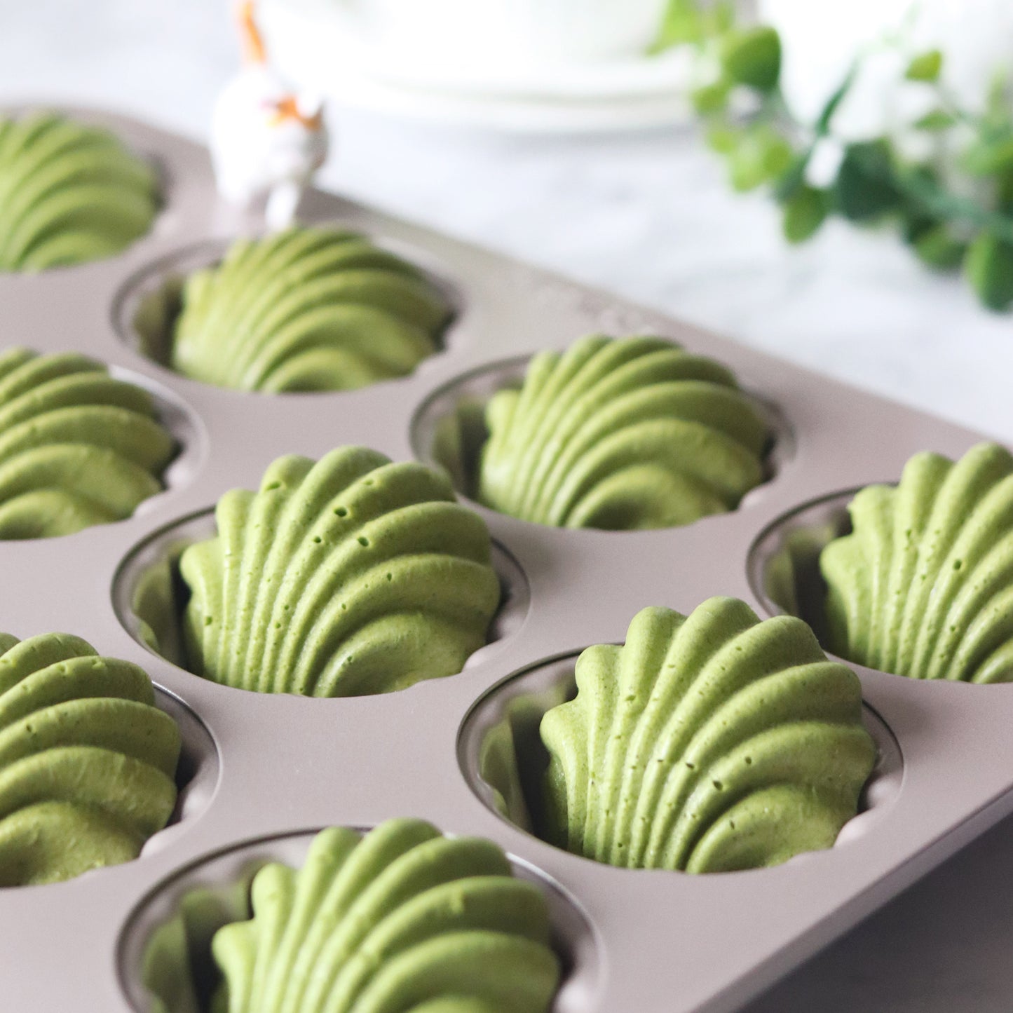 Madeleine Pan - Shell - 12 Cup