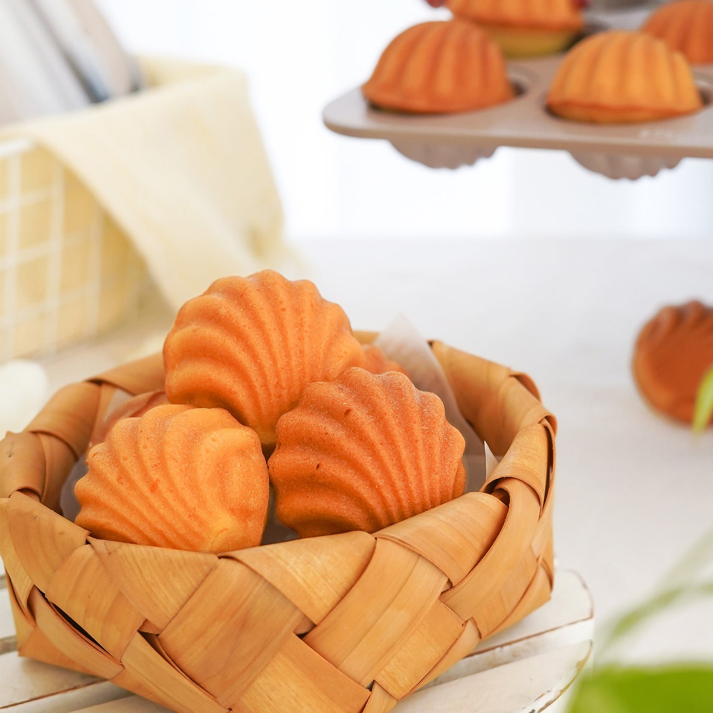 Madeleine Pan - Shell - 12 Cup