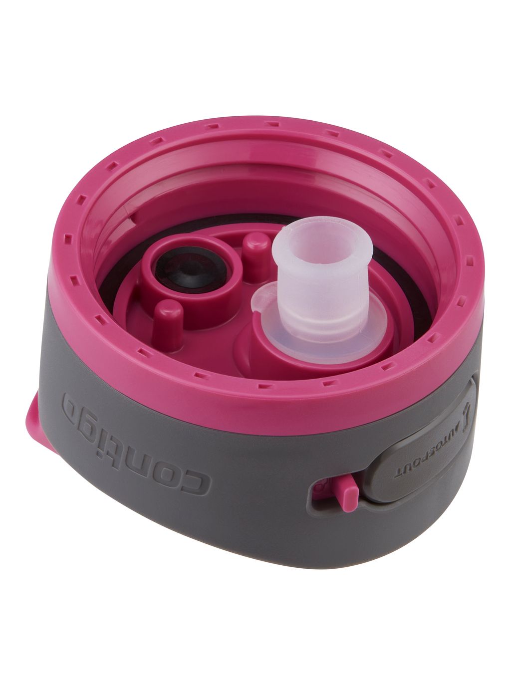 Ashland 2.0 Autospout 709ml | Dragon Fruit