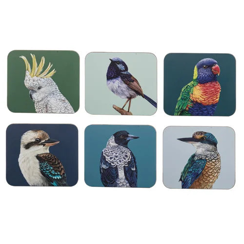 Modern Birds Coasters 6pk