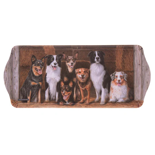 Working Dogs Sandwich Tray | Hay Shed