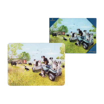 Working Dogs Surface Protector | Quad Bike
