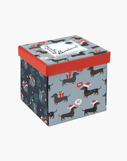 Dashing Koala 2pk Gift Box