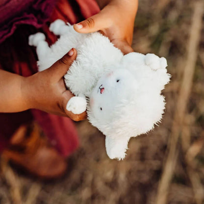 Kiddo the Lamb Roly Poly | White