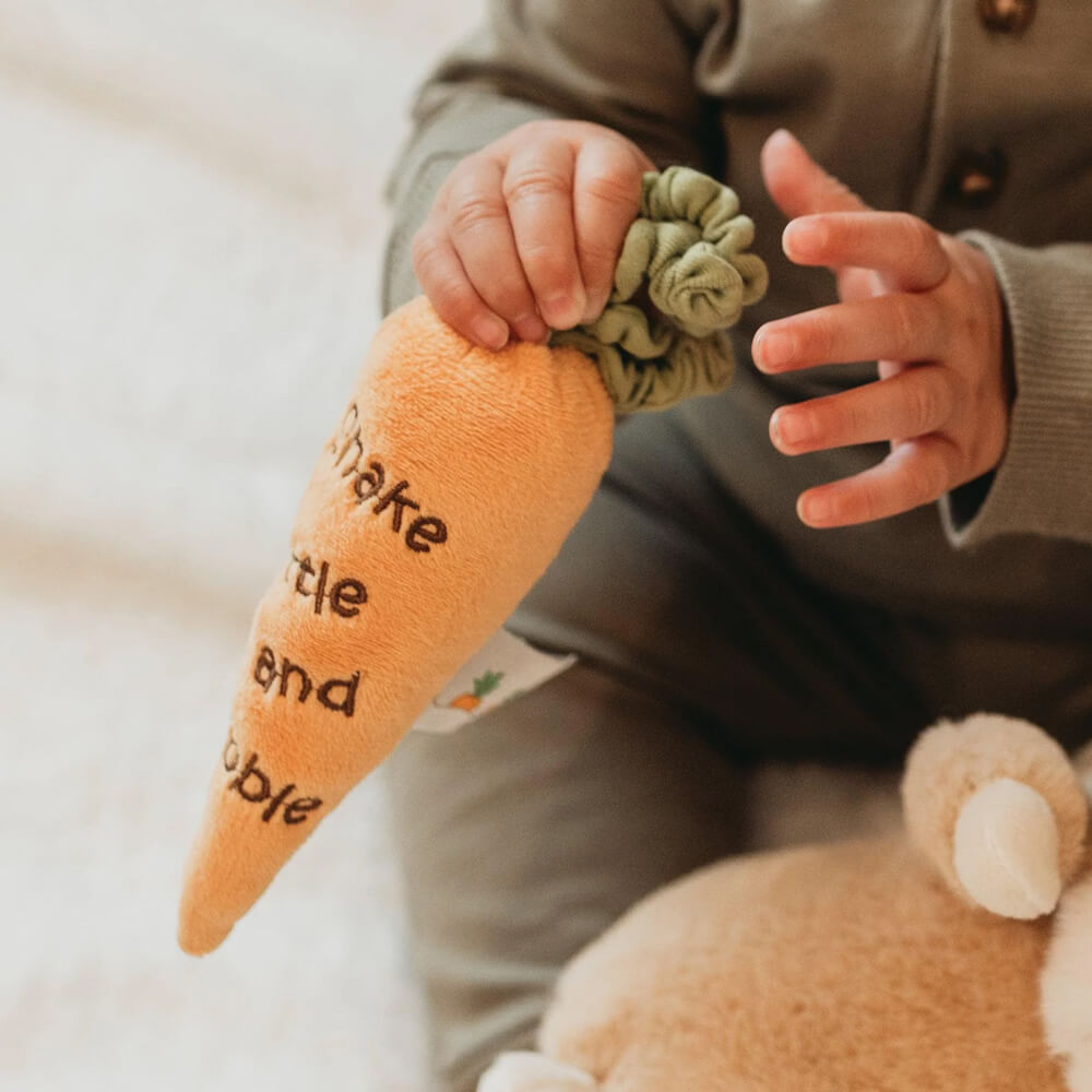 Carrot Rattle