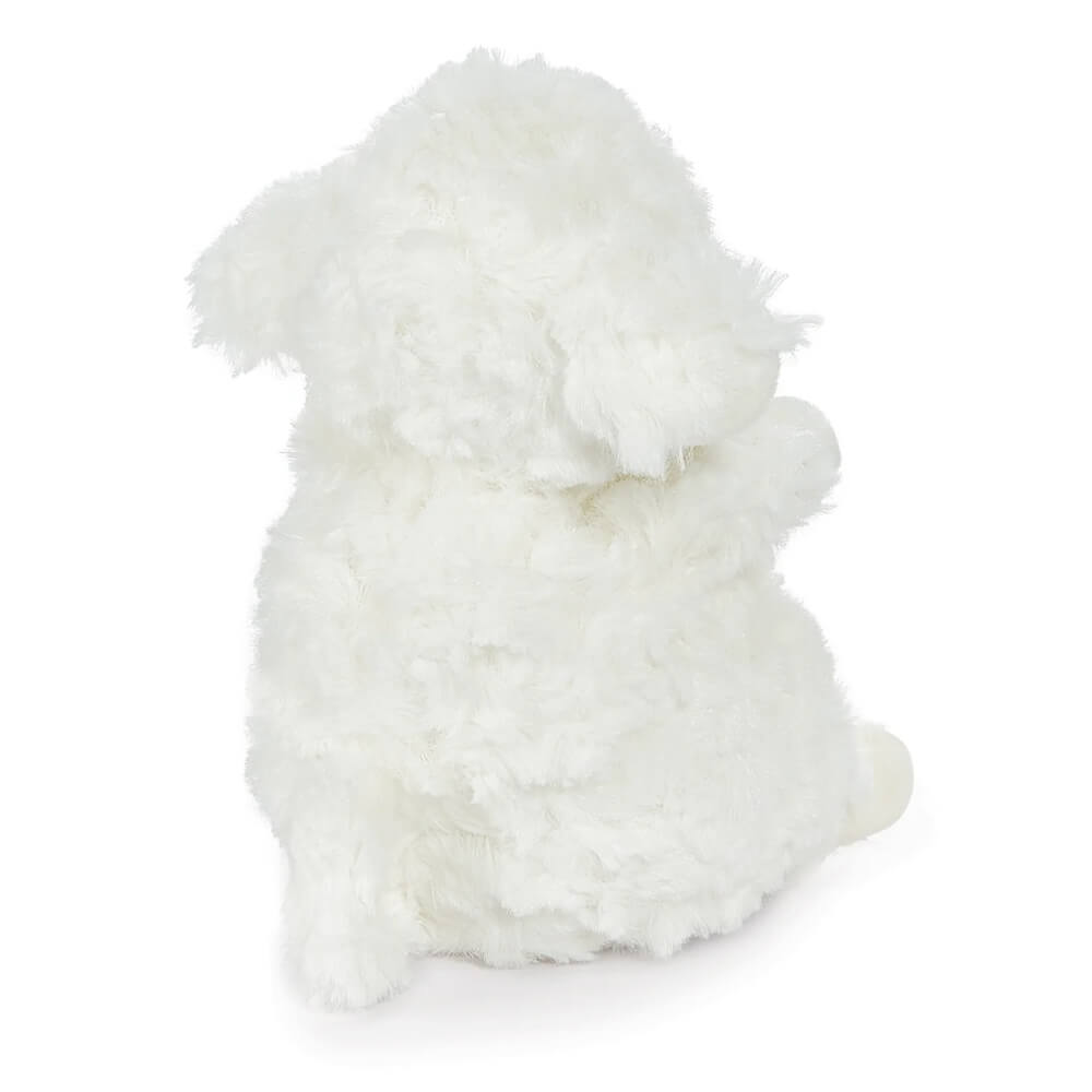 Wee Kiddo the Lamb | White