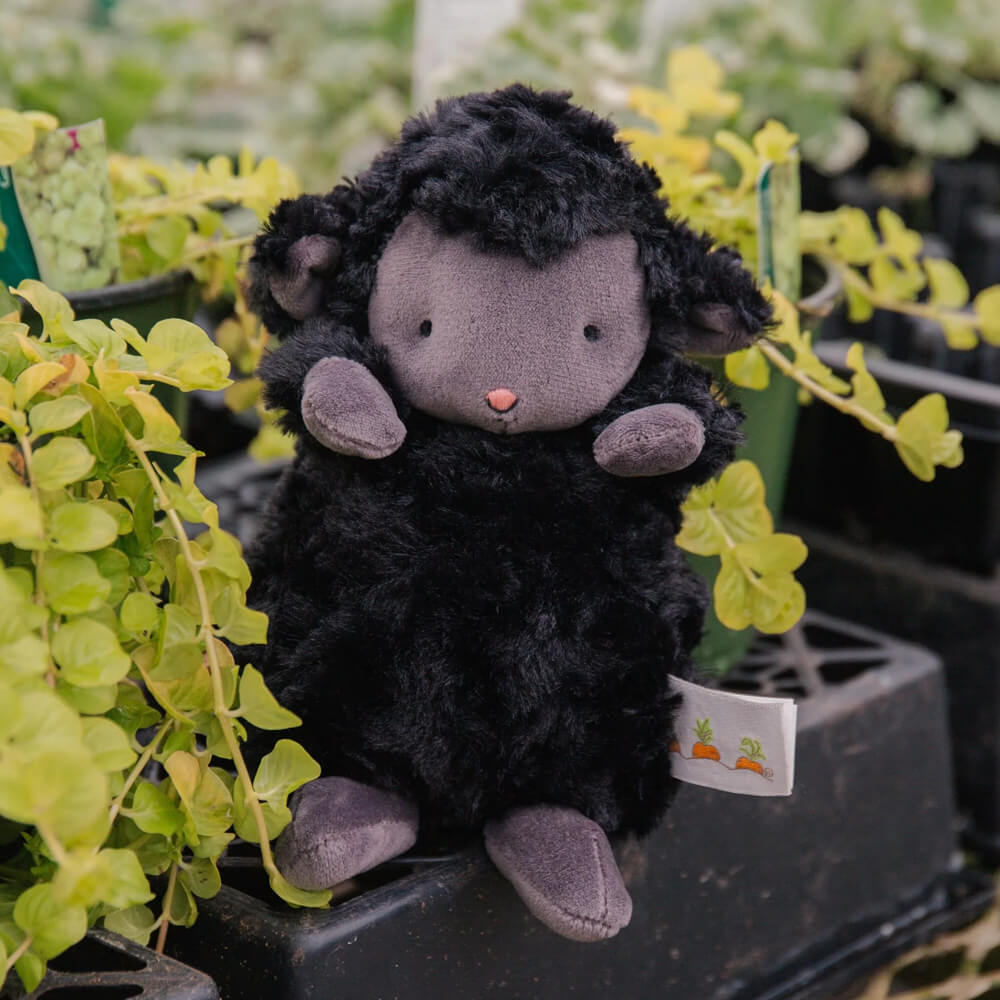 Wee Kiddo the Lamb | Black