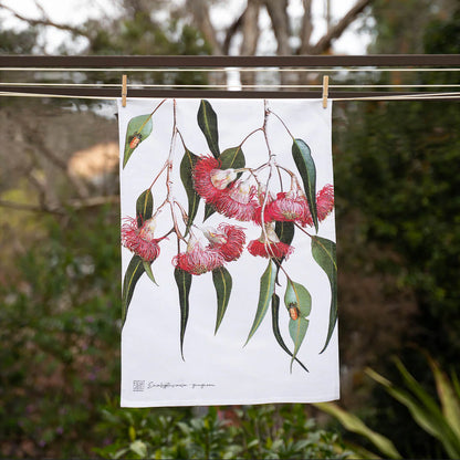 Teatowel | Eucalyptus