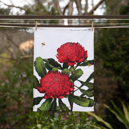 Teatowel | Waratah