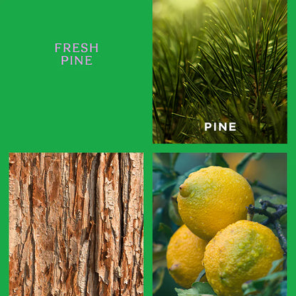 Car Diffuser - Fresh Pine