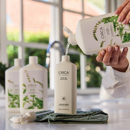 Alchemy™ Counter Spray Refill | White Tea & Wild Mint