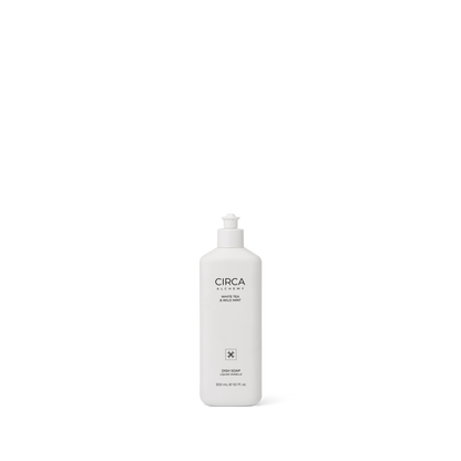 Alchemy™ Dish Soap | White Tea & Wild Mint