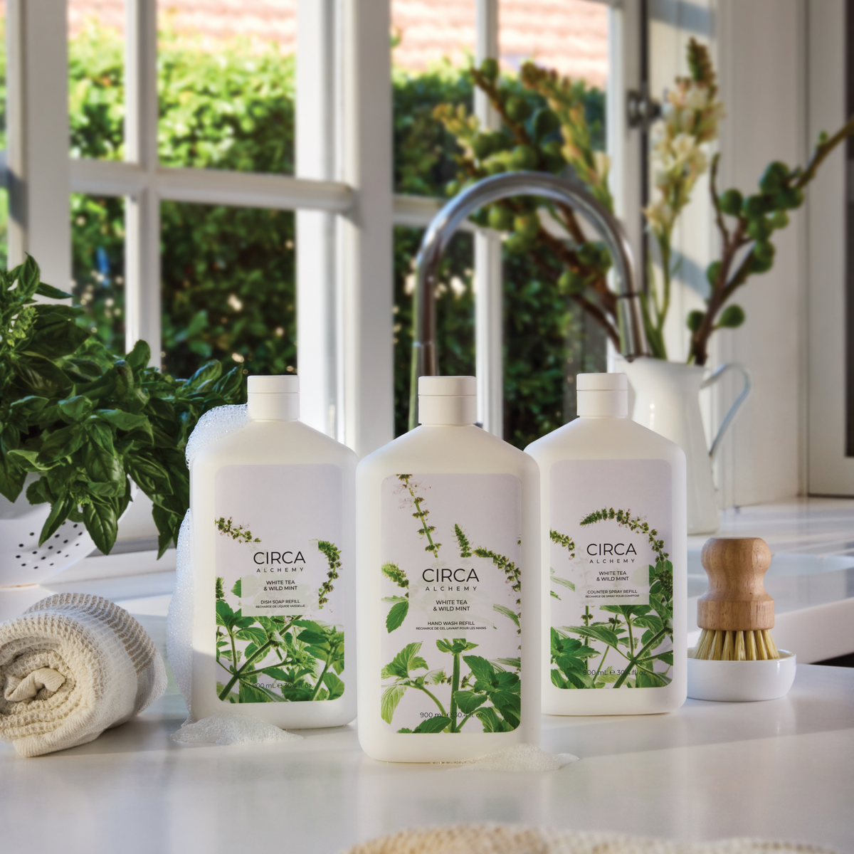 Alchemy™ Hand Wash Refill | White Tea & Wild Mint