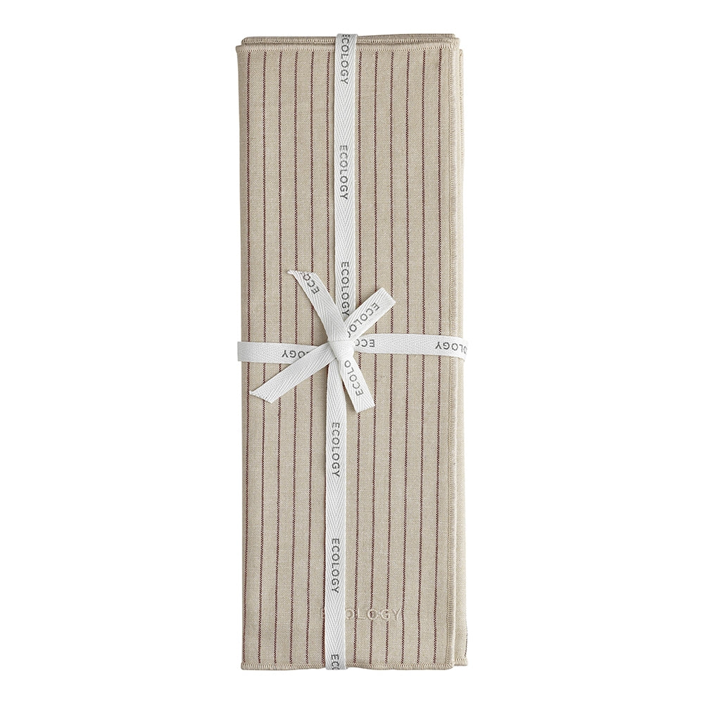 Tonka Set 4 Placemats | Sienna