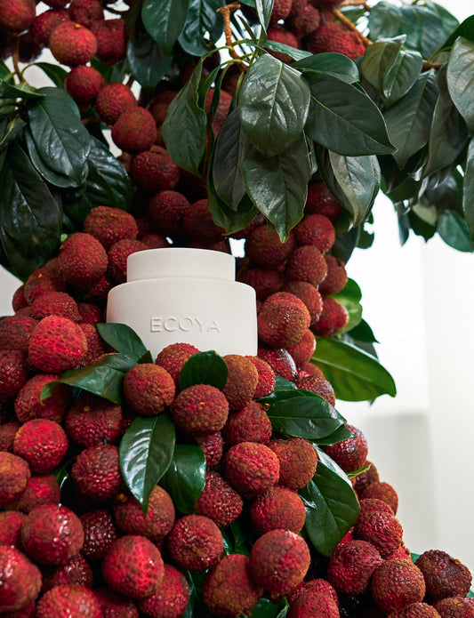 Soy Wax Melts | Guava & Lychee Sorbet