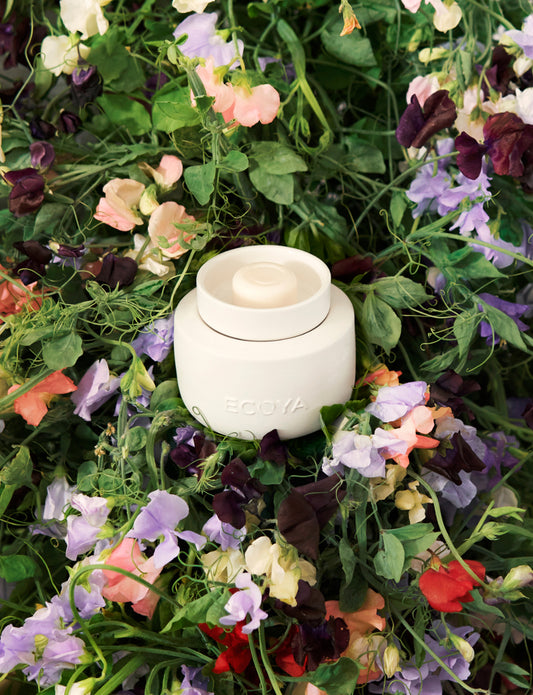 Soy Wax Melts | Sweet Pea & Jasmine