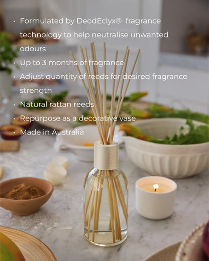 Alchemy™ White Tea & Wild Mint 250ml