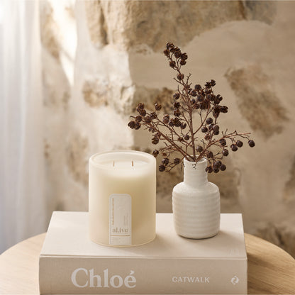 Candle  - Mango & Lychee