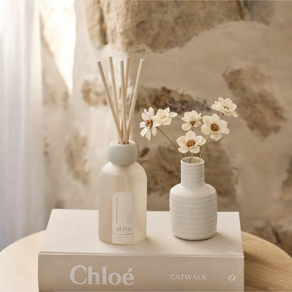 Reed Diffuser - Mango & Lychee