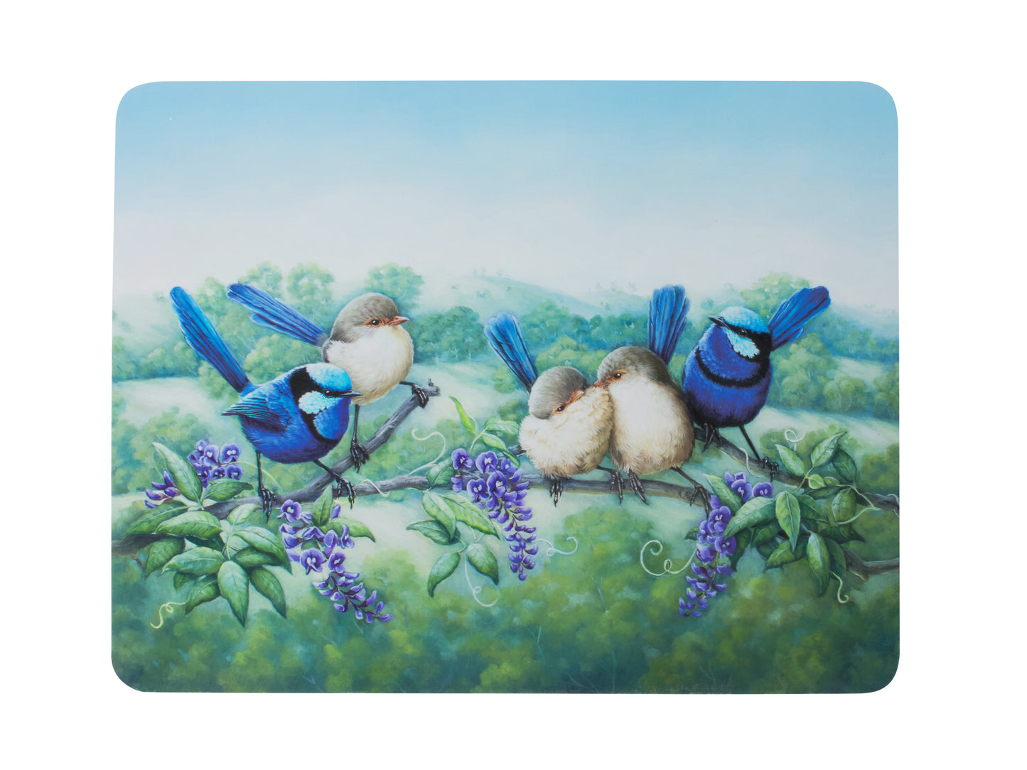 Birds of Australia Placemats