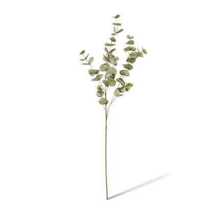 Eucalyptus Spray | Grey/Green
