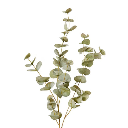 Eucalyptus Spray | Grey/Green