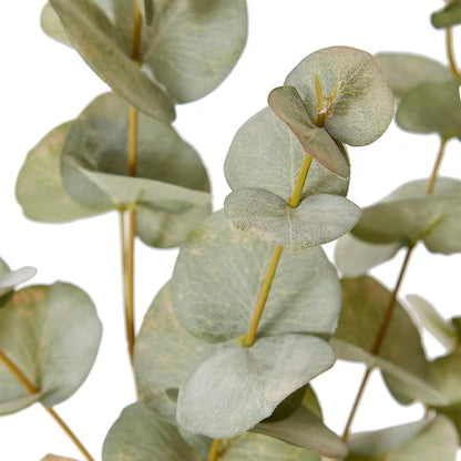Eucalyptus Spray | Grey/Green