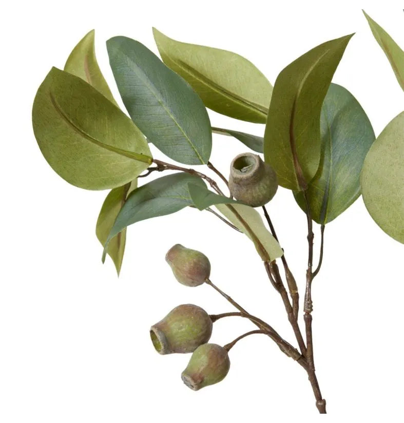Eucalyptus Gum Nut Spray