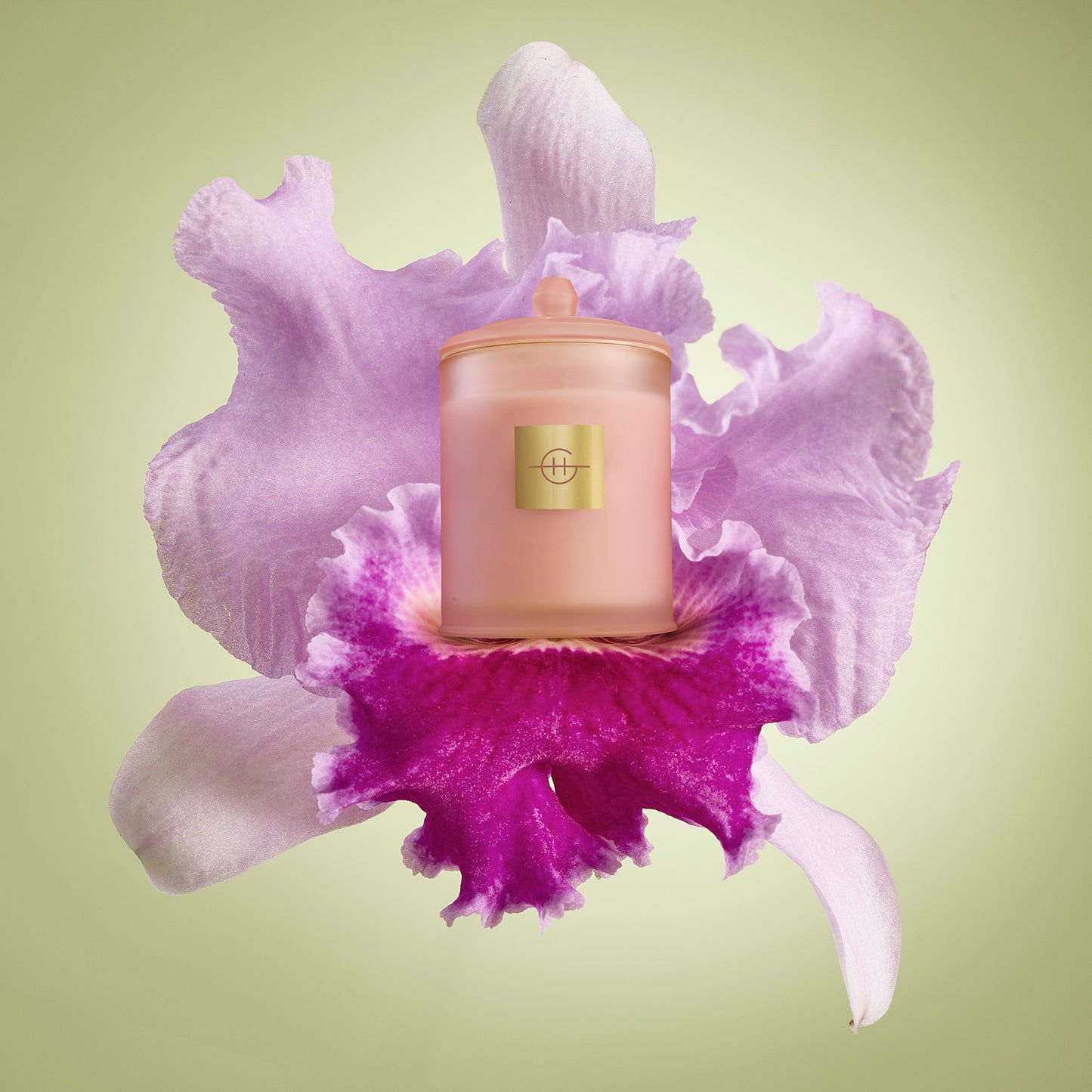 Radiance In Bloom  | Tuberose & Orchid