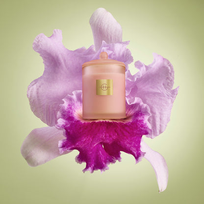 Radiance In Bloom  | Tuberose & Orchid