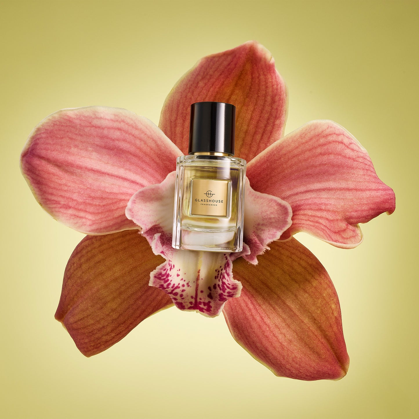 EDP | Tuberose Immortelle 30ml