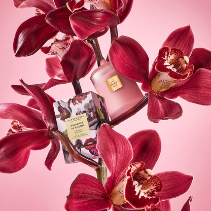 Radiance In Bloom  | Tuberose & Orchid