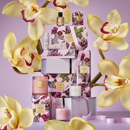 Candle Duo | Radiance In Bloom & Velvet Rhapsody