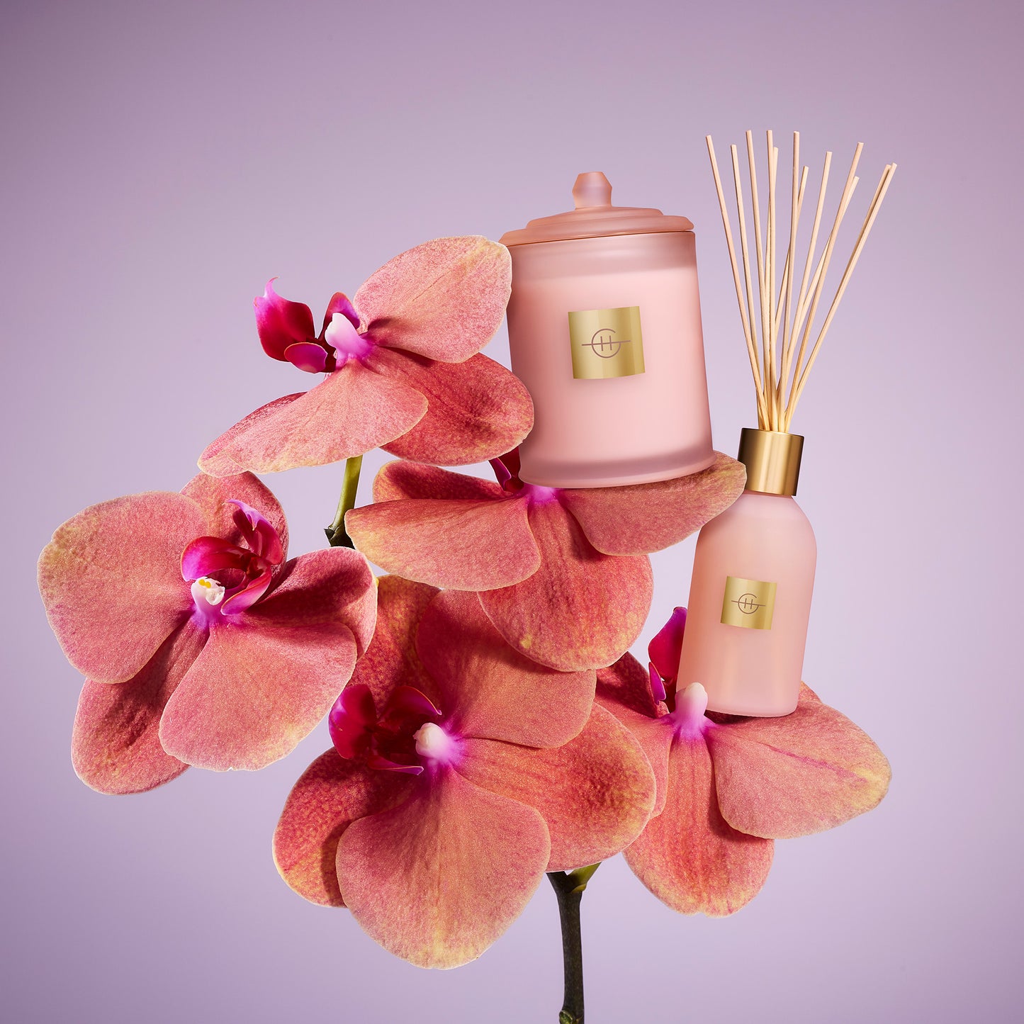 Radiance In Bloom  | Tuberose & Orchid