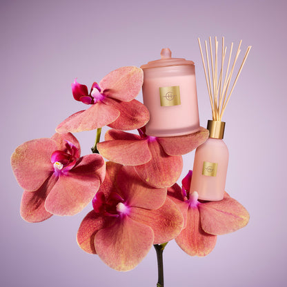 Radiance In Bloom  | Tuberose & Orchid
