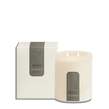 Candle  - Willow Gum & Lemon Myrtle