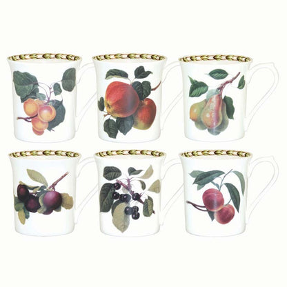 Queens Hookers Fruit Mugs Asst