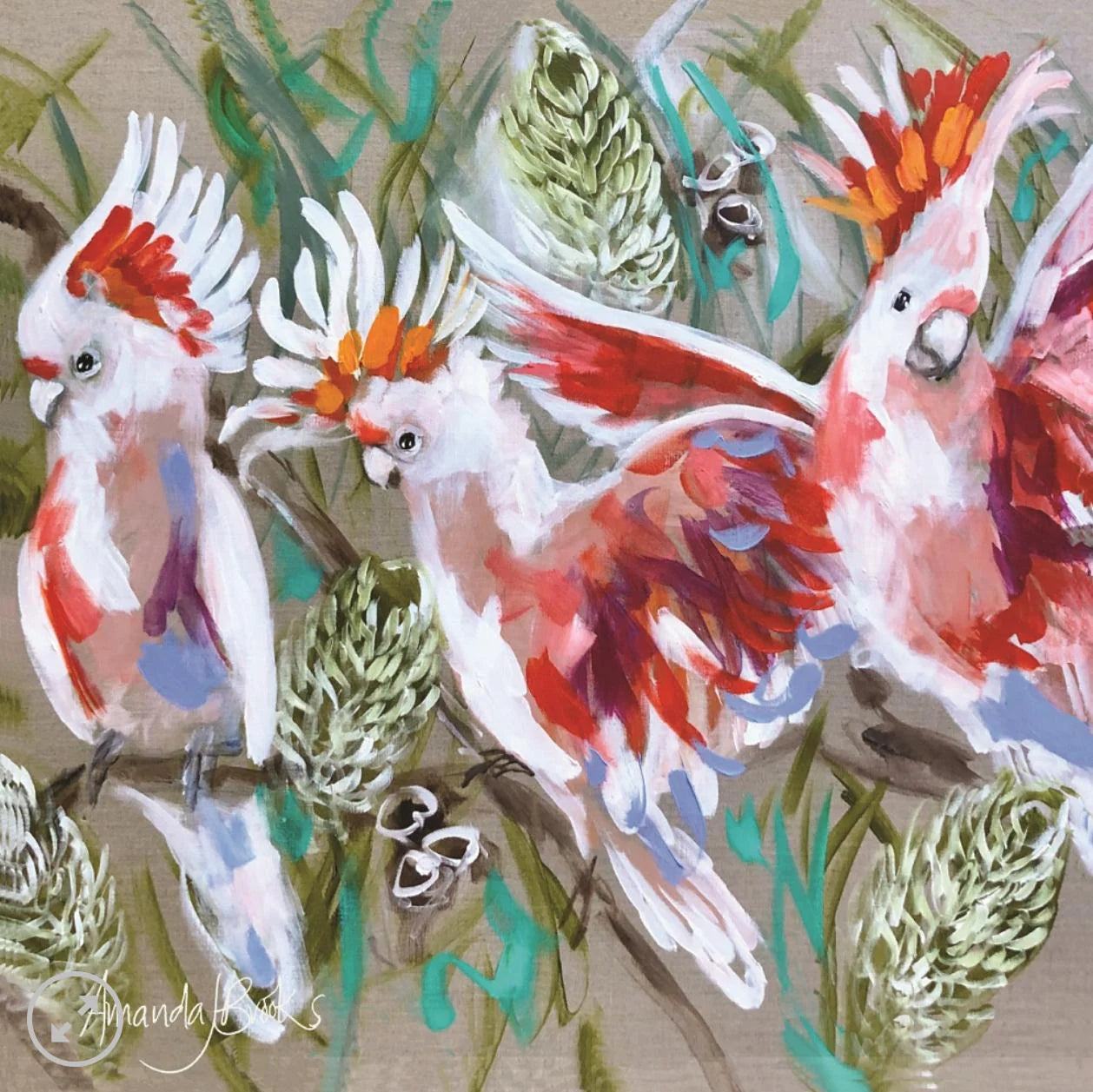 Major Mitchells & Banksia Coasters