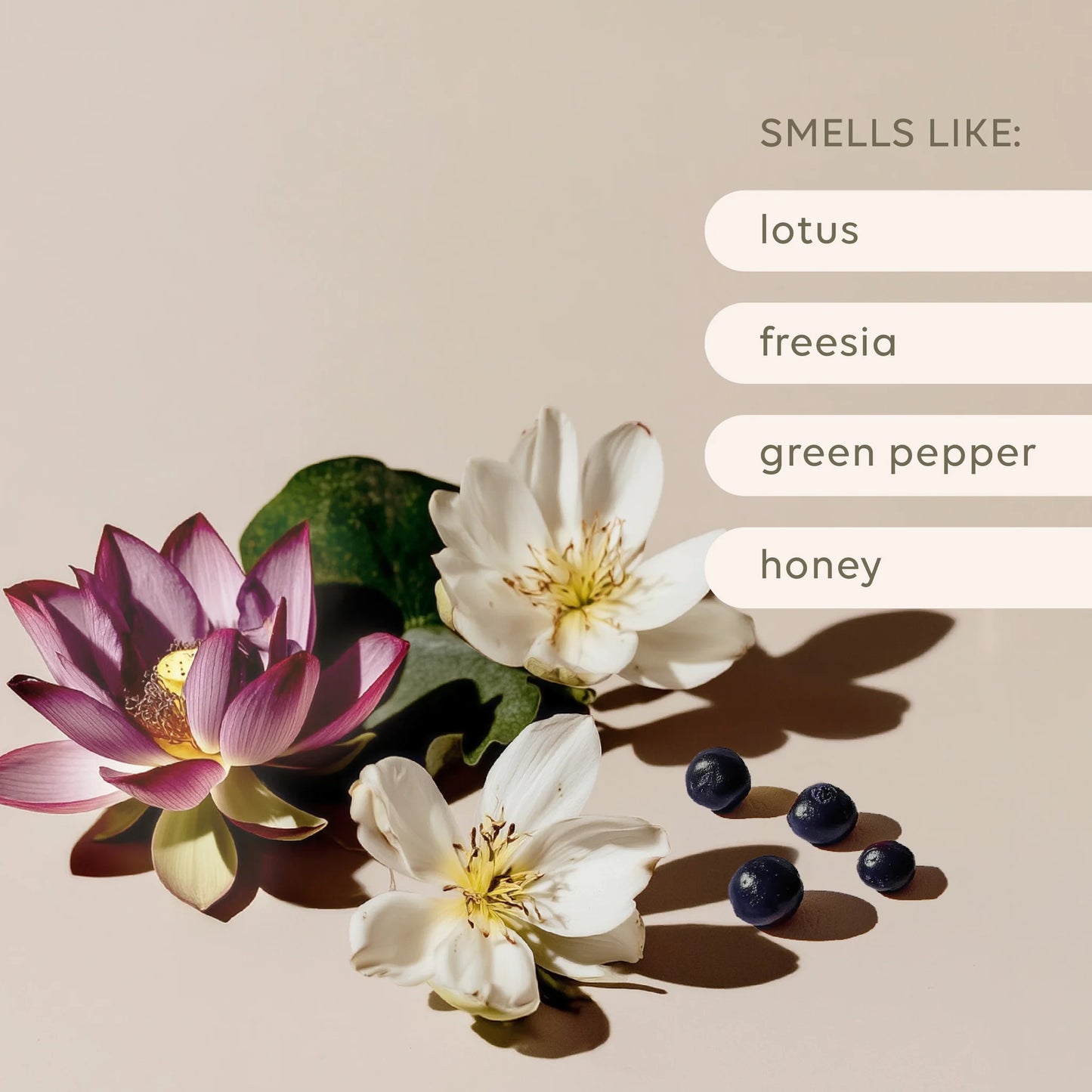 Reed Diffuser - Green Pepper & Lotus