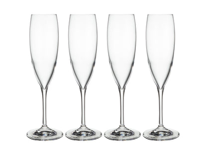 Sofia Champagne Flute Glass Set 4