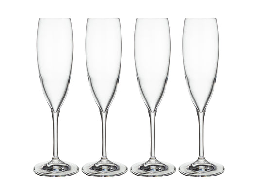 Sofia Champagne Flute Glass Set 4