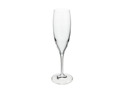 Sofia Champagne Flute Glass Set 4