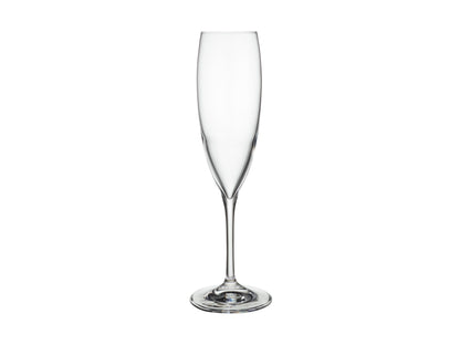 Sofia Champagne Flute Glass Set 4
