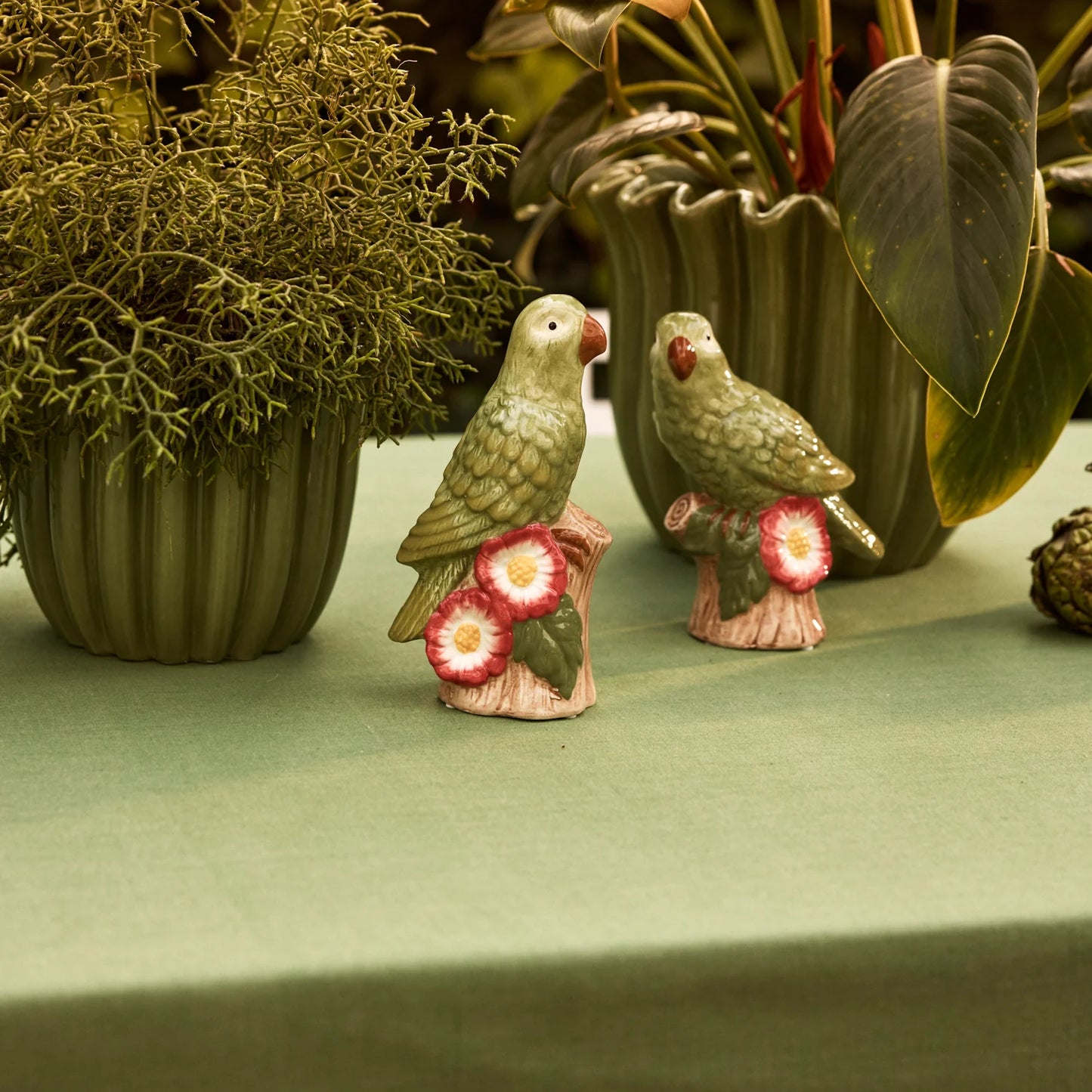 Green Parrot