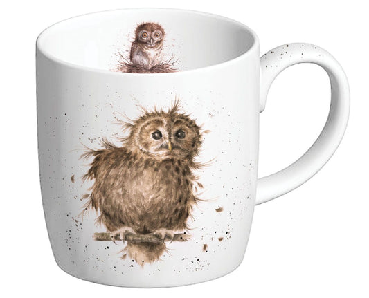Royal Worcester Wrendale Tawny Owl Mug